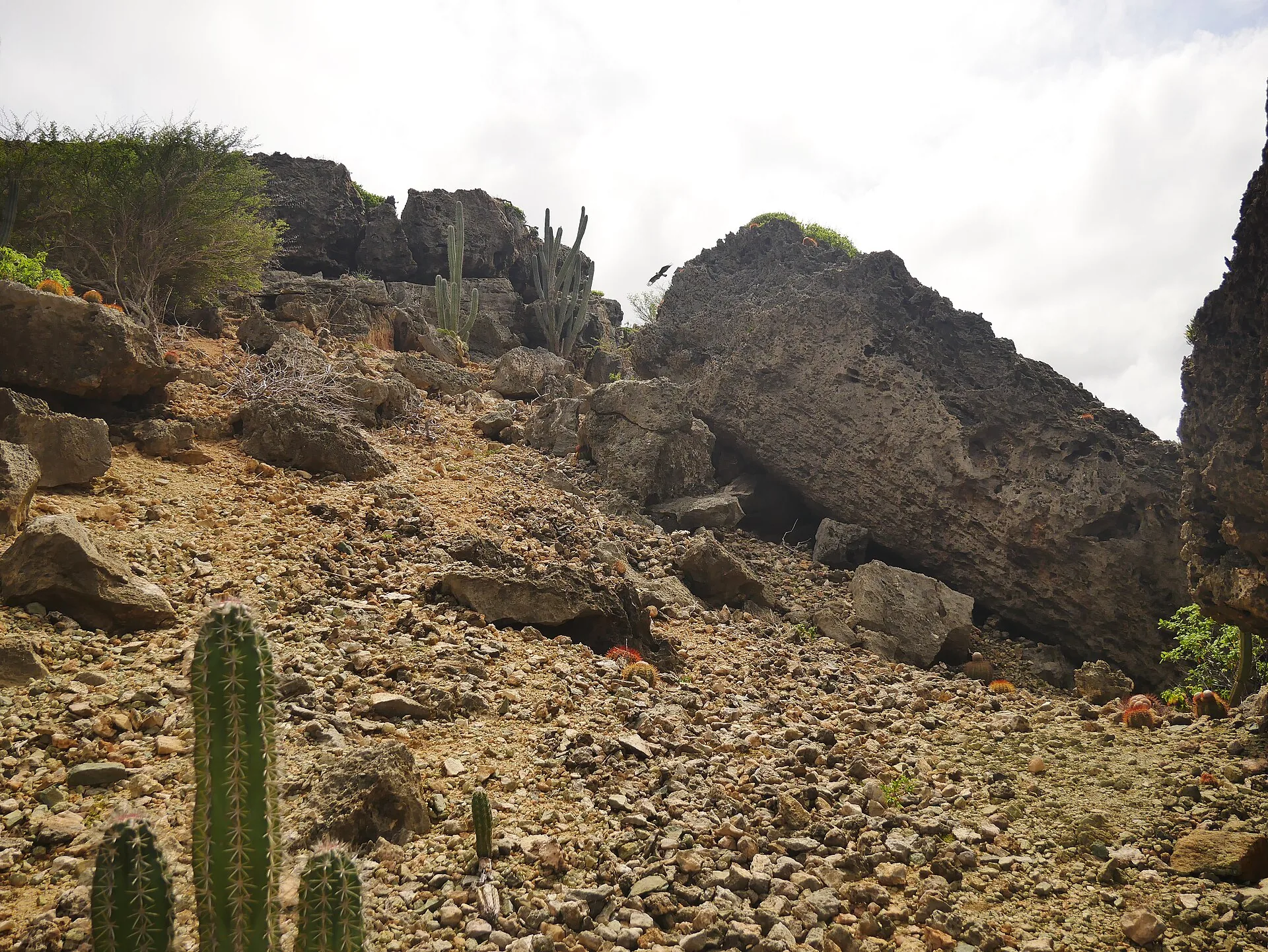 Arikok Nationaal Park: het ruige Aruba dat weinig mensen zien