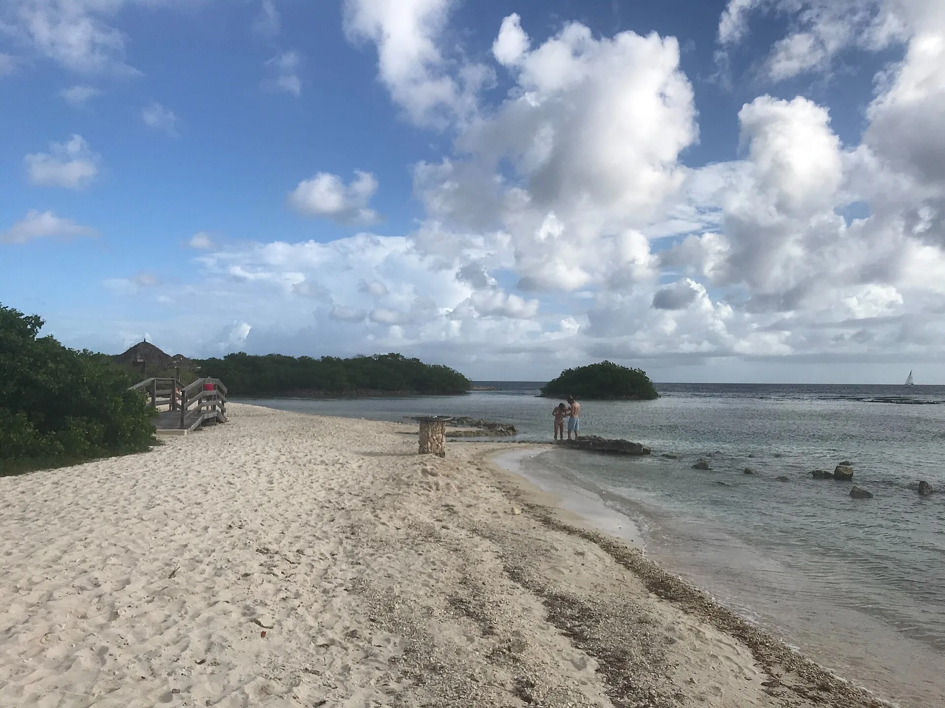 Mangel Halto op Aruba: rustige turquoise baai met mangroves langs de oever, geschikt voor snorkelen