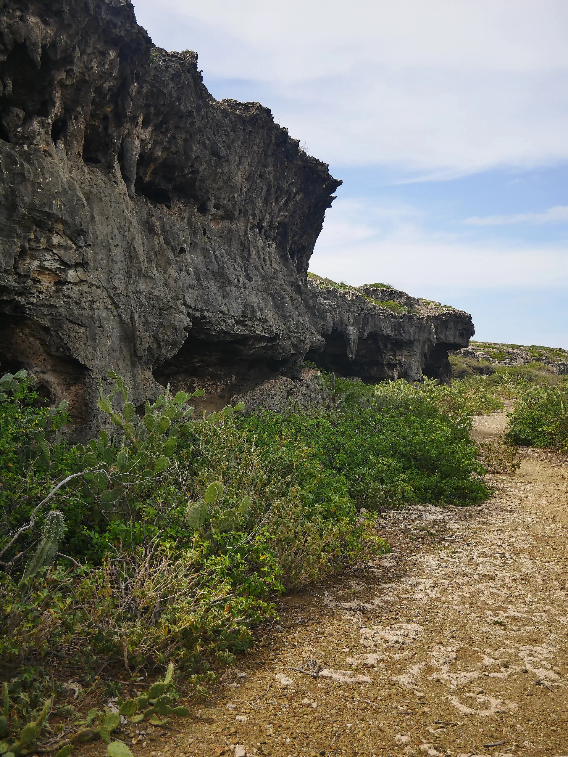 Grotten op Aruba: Fontein, Quadirikiri en de rotstekeningen